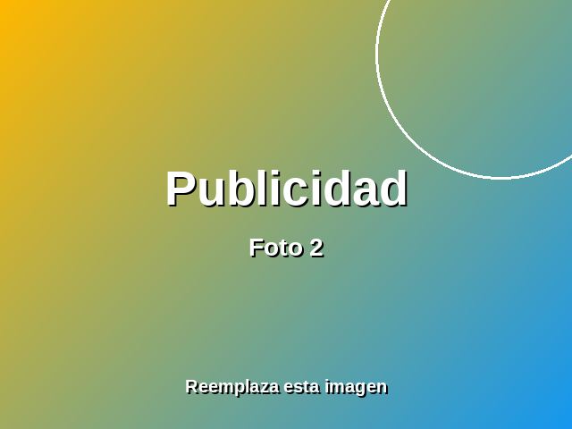 Pendones y rollers 2
